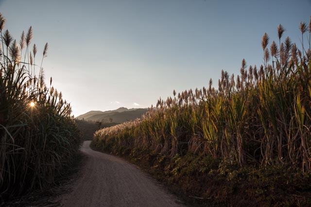 There will be more next week as we head down the road towards Muang Sing