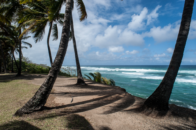 This says Puerto Rico