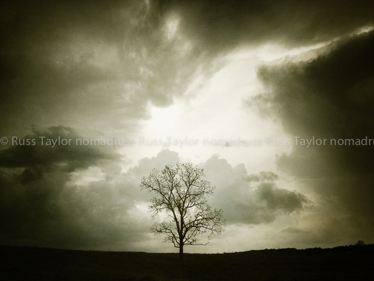 Winter Tree, Mentone, Alabama