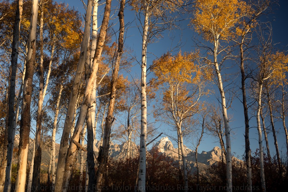 rbt_2638-edit-edit-edit-edit-2